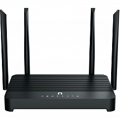 Netis NX31